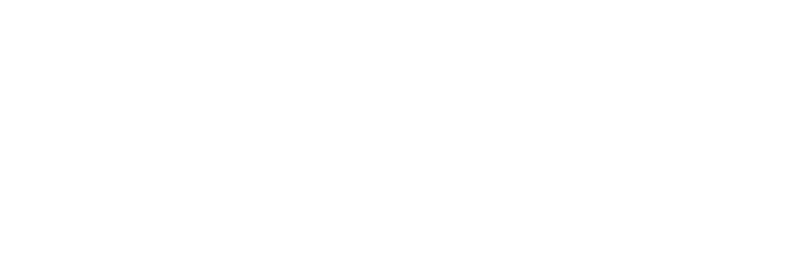 Nene Automobile Rosenheim